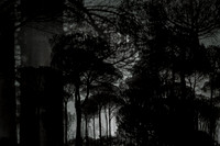 200316-2-1