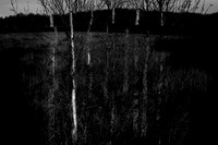260316-1-7