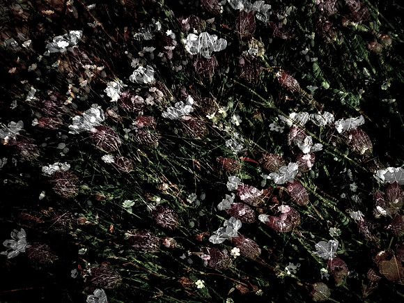 190616-2-7