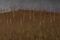 090114-91