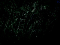 200616-3-7