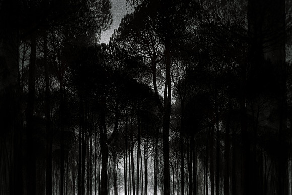 200316-2-5
