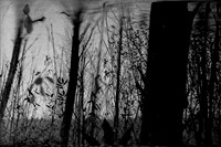 290316-1-8