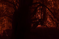 2013-09-23-213