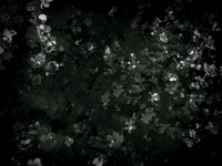 190616-9-9