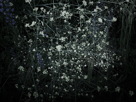 chrisfriel-memorial-16