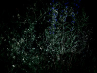 200616-3-15