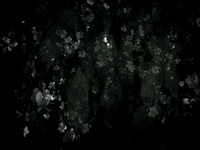 190616-9-8