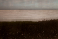 shoreline #4