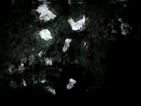 chrisfriel-memorial-2