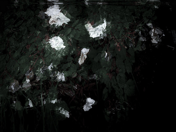 chrisfriel-memorial-2