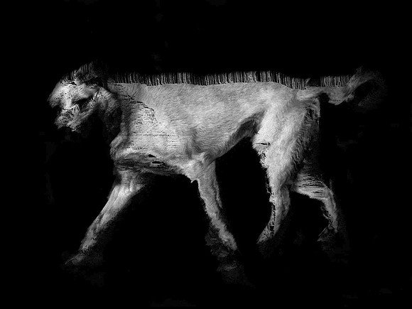 frame045_dog #1-3-2
