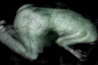210314 #375-4-2