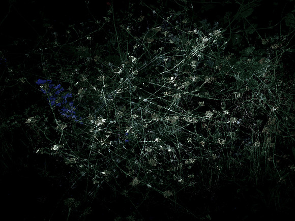 200616-3-27