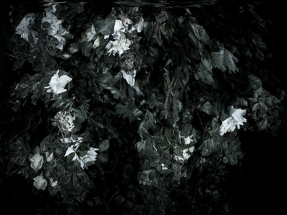 chrisfriel-memorial-1
