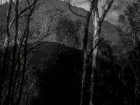 050616-1-4