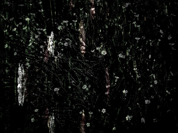 190616-2-6