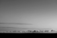 mist 3