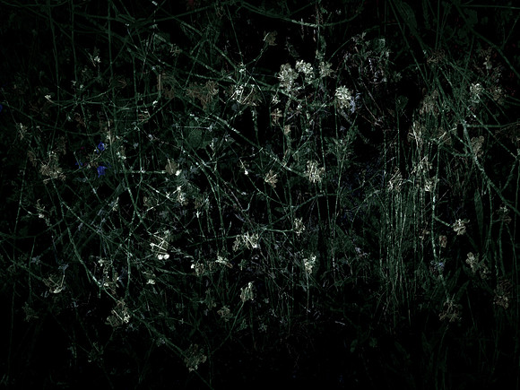 200616-3-23