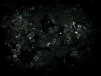 190616-9-15