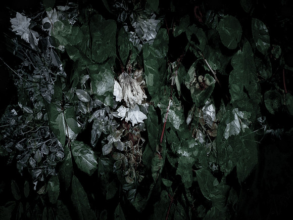 friel memorial #1 9cm 300dpi