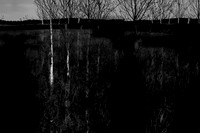 260316-1-6