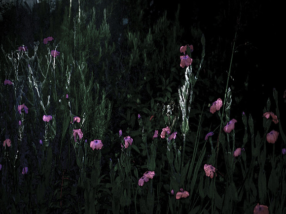 200616-2-6