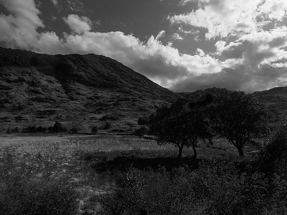 glasgow-mallaig-677