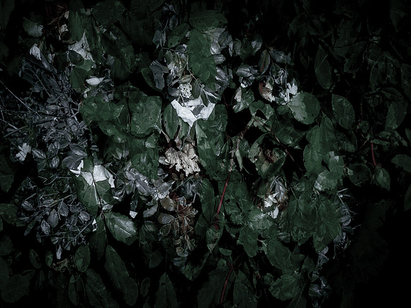 190616-6-3