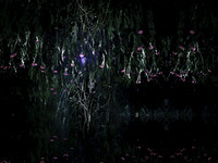 200616-2-7