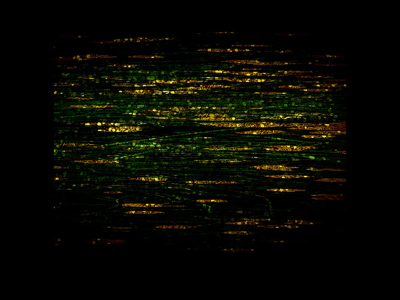 150616-5-2