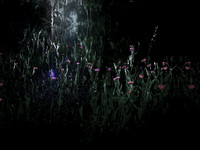 200616-2-14