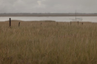 riverbank #13