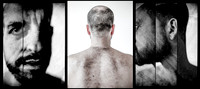 mh triptych 1
