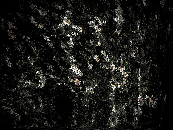 160616-8-9