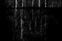 260316-1-21