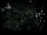190616-9-2