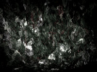chrisfriel-memorial-6