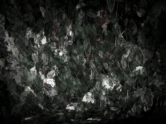 chrisfriel-memorial-6