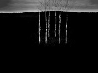 260916-2-4