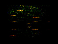 150616-5-5