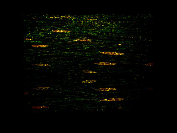 150616-5-5