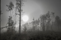 010516-1-10