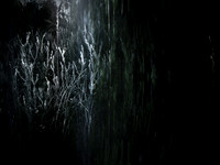 200616-2-5