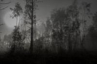 010516-1-7