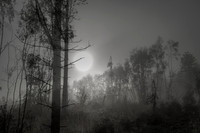 010516-1-5