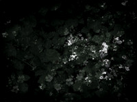 190616-9-17