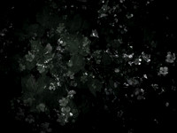 190616-9-7