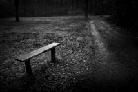 Bench
