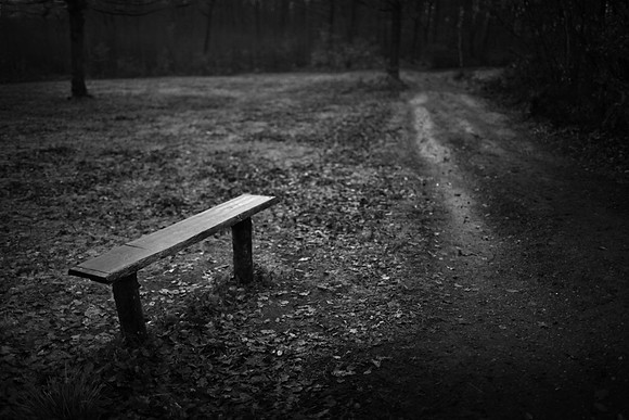 Bench